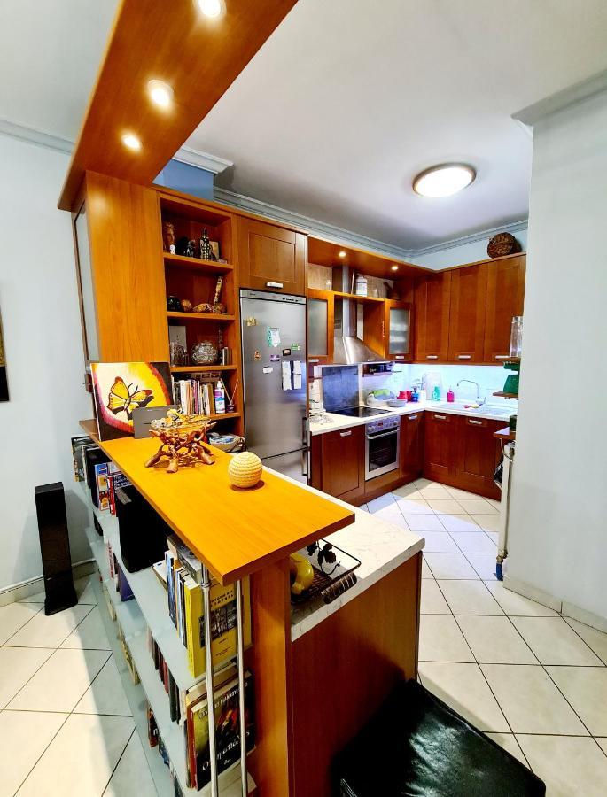 אתונה Large Terrace Apartment Near City Centre מראה חיצוני תמונה