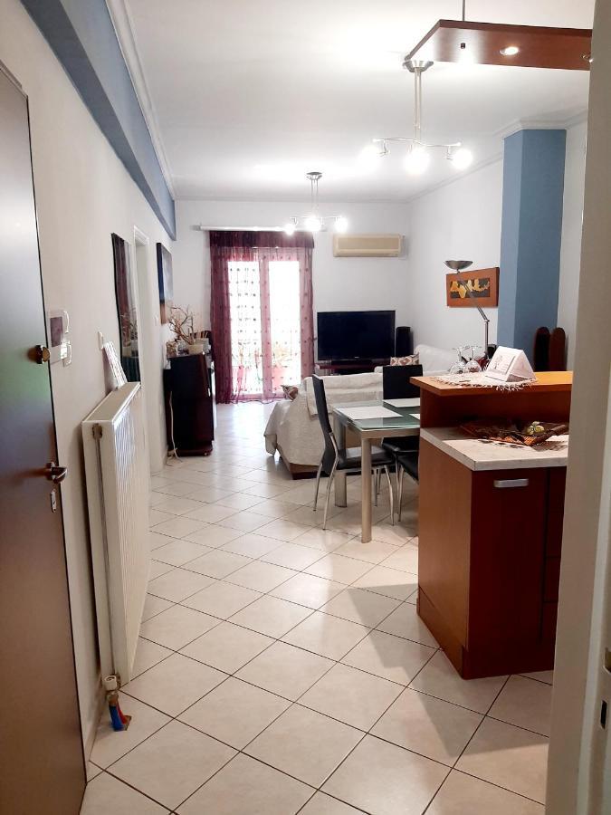 אתונה Large Terrace Apartment Near City Centre מראה חיצוני תמונה