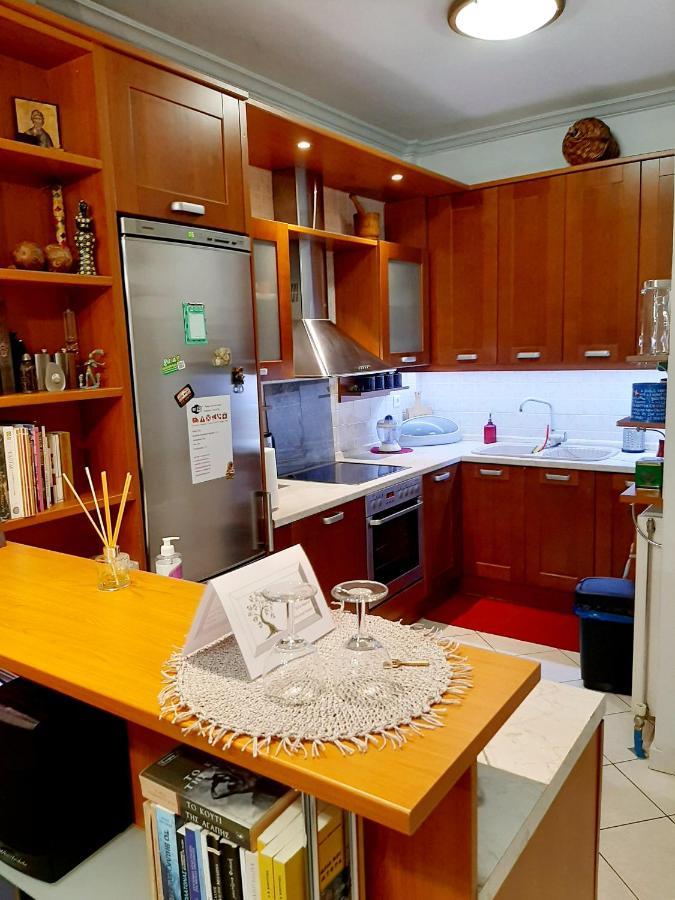 אתונה Large Terrace Apartment Near City Centre מראה חיצוני תמונה